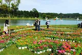 Tết Nguyên đán 2026: Xu hướng du lịch linh hoạt của khách Việt
