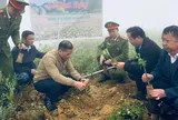 Lũng Cú phát động trồng cây ăn quả gắn phát triển du lịch xanh