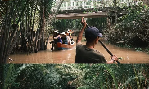 Cồn Thới Sơn – Cồn Phụng: "Cơn sốt" xuồng ba lá và sức hút của du lịch chậm giữa miền Tây