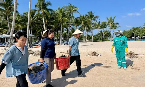 Hình ảnh đẹp: Hàng trăm người dân và du khách cùng làm sạch bãi biển Phú Quốc mùa gió chướng